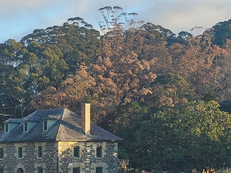 DOC closes Kerikeri track section after trees poisoned