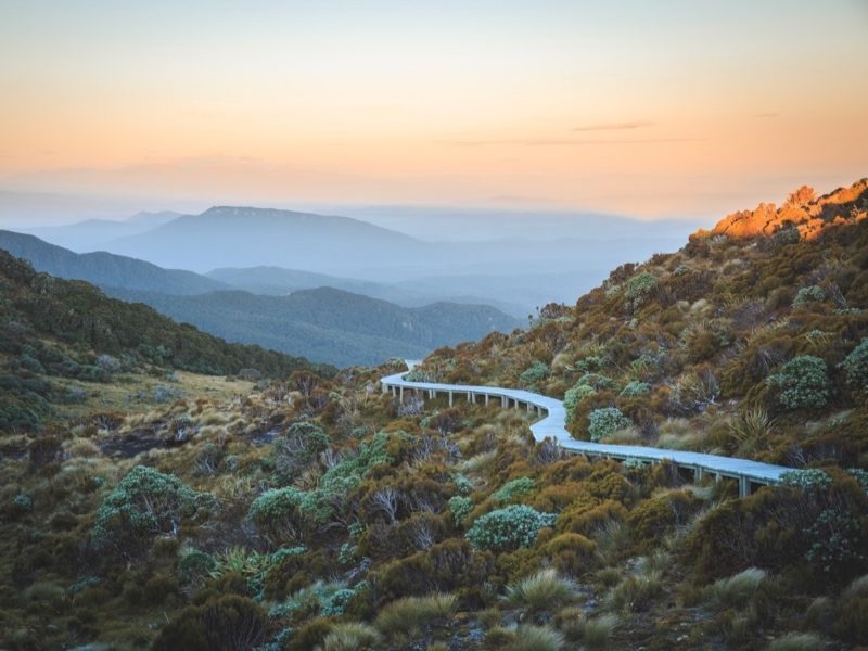 Great Walk demand to be high with full international return