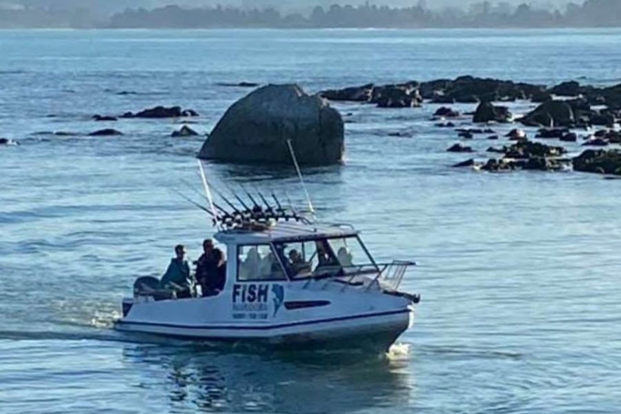 Maritime NZ decides not to prosecute over fatal capsizing likely caused by whale