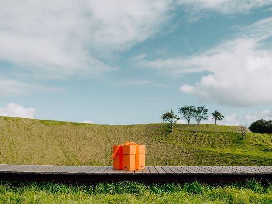 Jetstar dangles free flights in spring campaign
