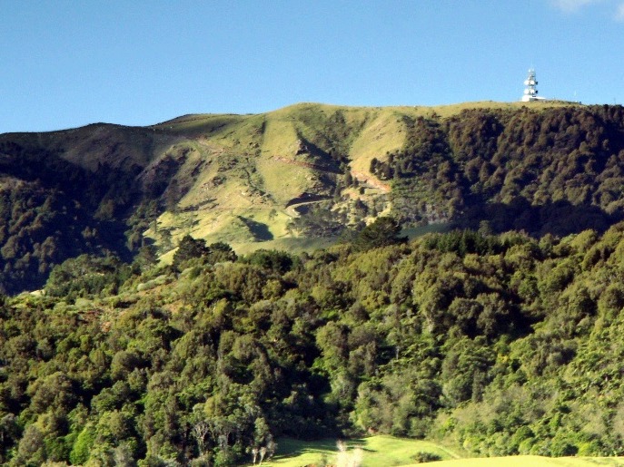 Phased reopening of Kaimai tracks