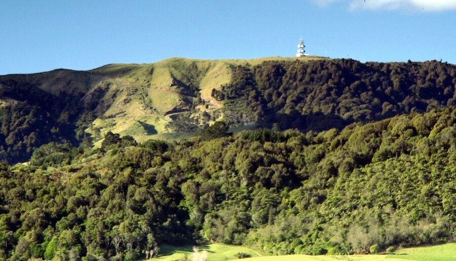 Tracks shut across Kaimai Ranges after unexpected detection of kauri disease pathogen