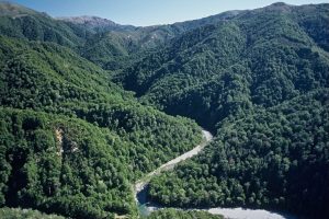 Opportunity to align hunting and conservation – McClay