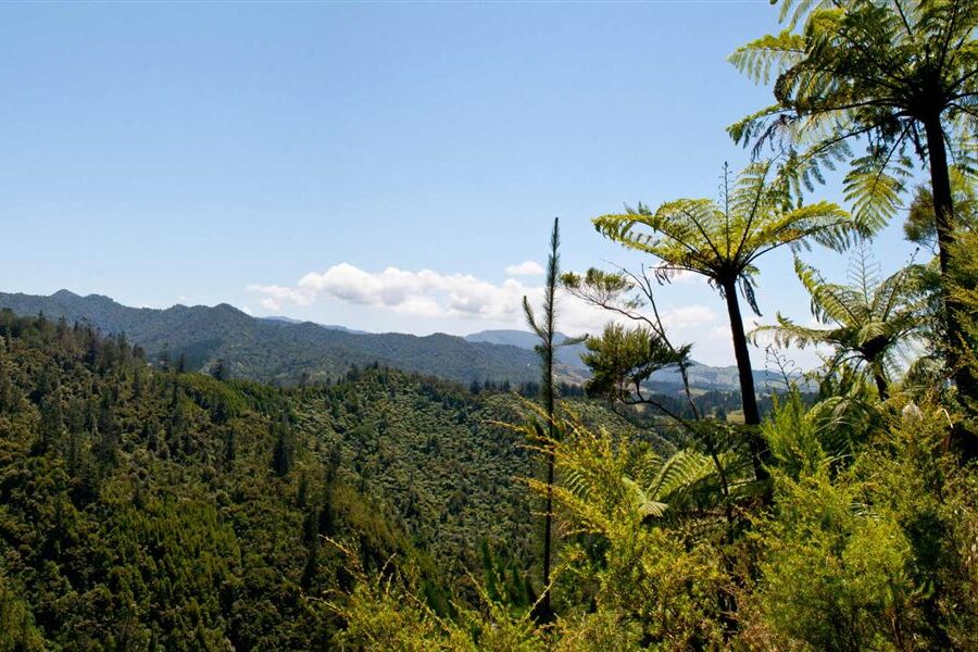 DOC opens $6.9m Nature Heritage Fund…