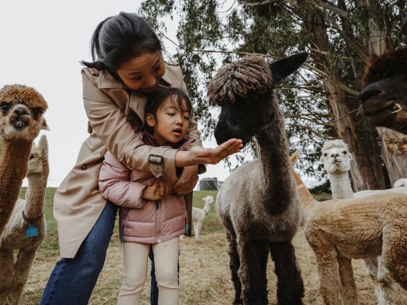 After a domestic boom, agritourism sees strong wholesale, international demand