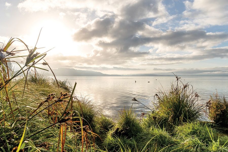 Hundreds to converge on Rotorua for volcanology conference