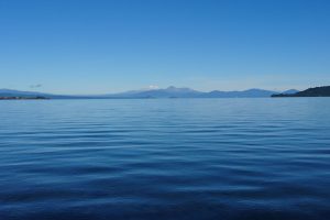 Taupō wins top town at Beautiful Awards