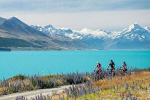 Mackenzie Tourism seeks feedback
