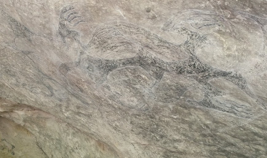 Māori rock art sites secure $250k