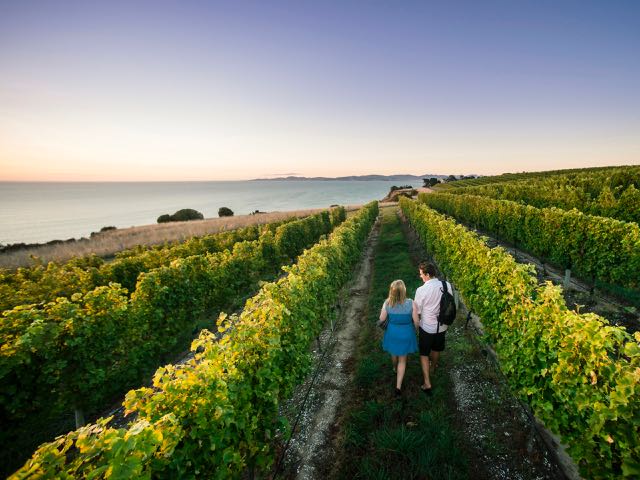 Food Hui: NZ food tourism starts with the food system