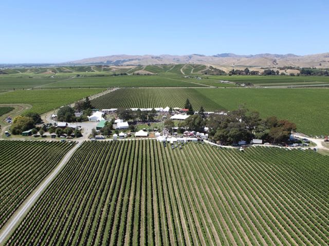Marlborough Wine and Food Festival cancelled again