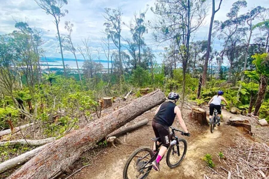 Rotorua operators lead NZ Tourism Awards nominations