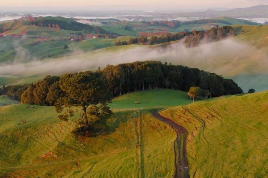 Hamilton & Waikato welcomes strong visitor survey showing