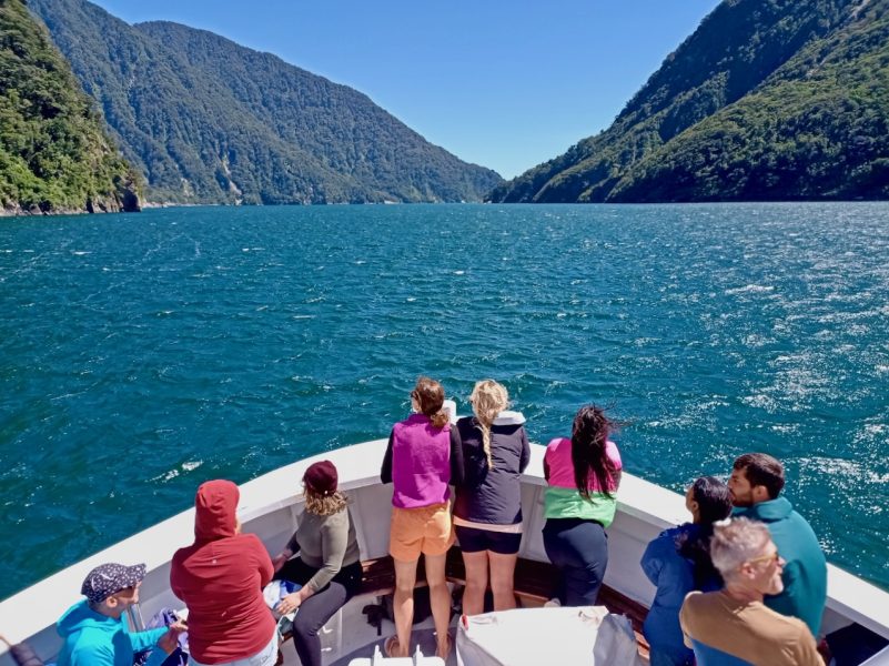 Survey: domestic travel spend sentiment turns positive – just
