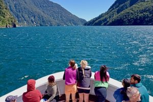 NZCA broaches proposed Milford cruise ban with Doocey