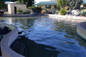 Tasman Tourism expands with approval to buy Coromandel holiday park land