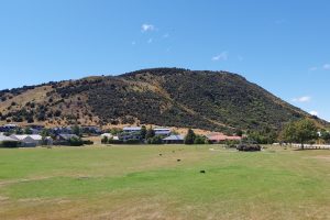 QLDC turns to tech for wildfire risk monitoring