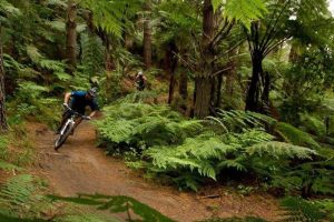 …while NatGeo ranks Rotorua Great Ride among world’s wellness best
