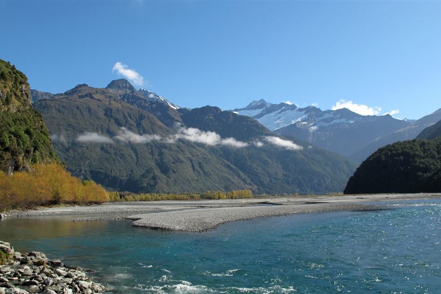 Sanctuary crowdfunding $10k to remove rats from national park
