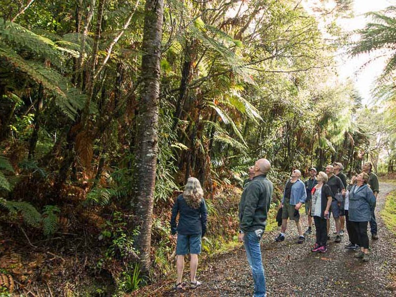 Bush and Beach launches new ‘Kiwis guiding Kiwis’ product