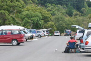 QLDC urges freedom campers to brush up on new rules