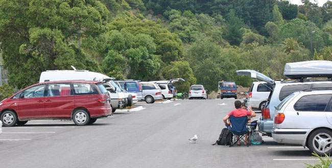 A little light, a lot of questions at freedom camping consultation