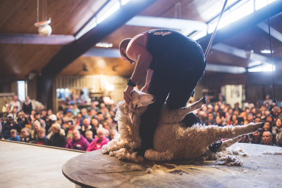 …but operators push on with Ngāi Tahu Tourism latest to mandate