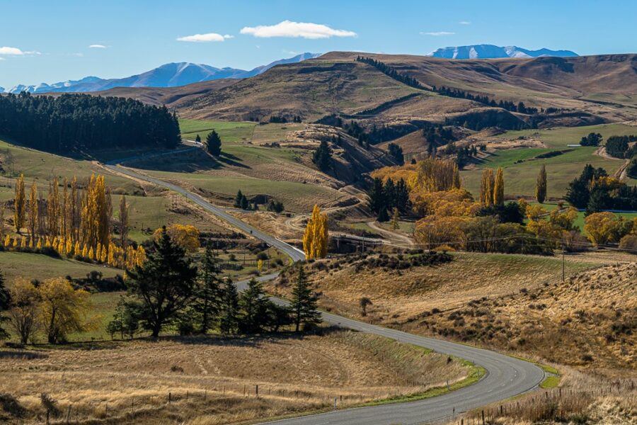 TECTS: Otago RTOs top October spending growth