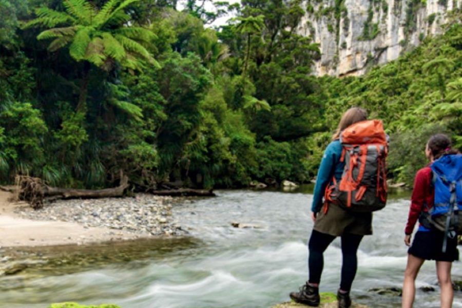 DOC re-opens Paparoa Track ahead of schedule