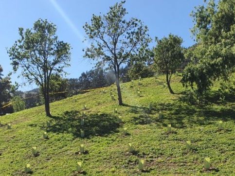 Prince Philip memorial at Christchurch Gondola to open