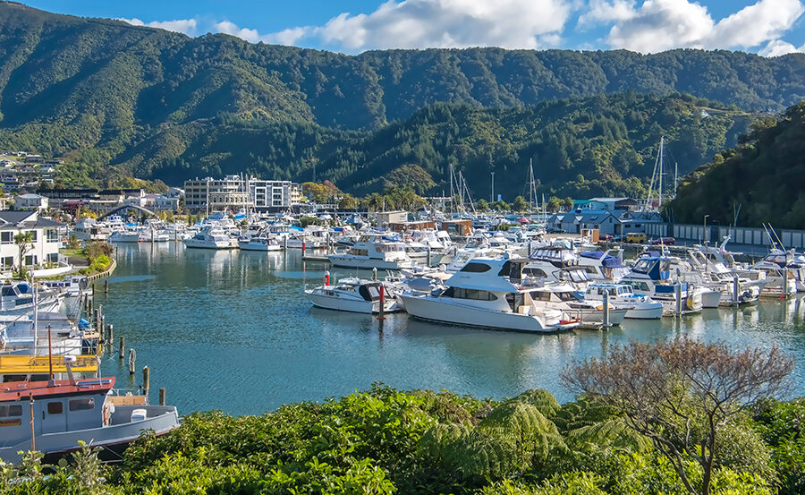 Picton to host 500+ competitors for women’s adventure race