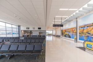 Airports must be properly prepared to process travellers – BARNZ
