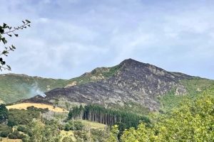 Firefighters continue to tackle hot spots in Christchurch Adventure Park