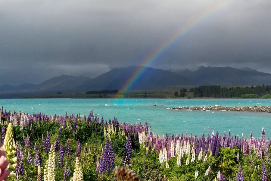 Climate change could bring new tourism opportunities – govt action plan