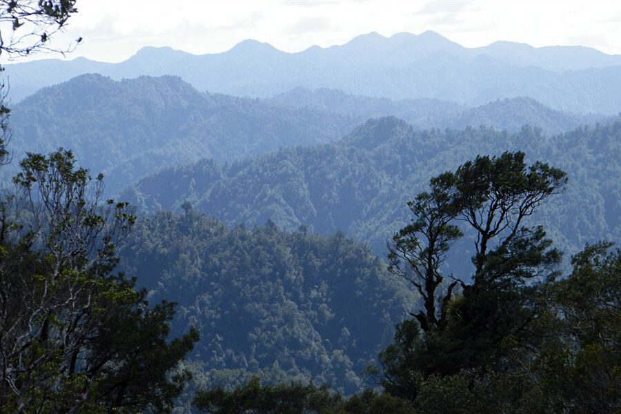Tourism emissions drop for second year in 2019 – Stats NZ