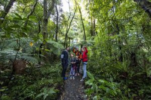 International visitor spend hits $9bn, behind only dairy in exports – IVS