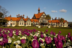 Rotorua among Booking.com’s top trending destinations for 2024