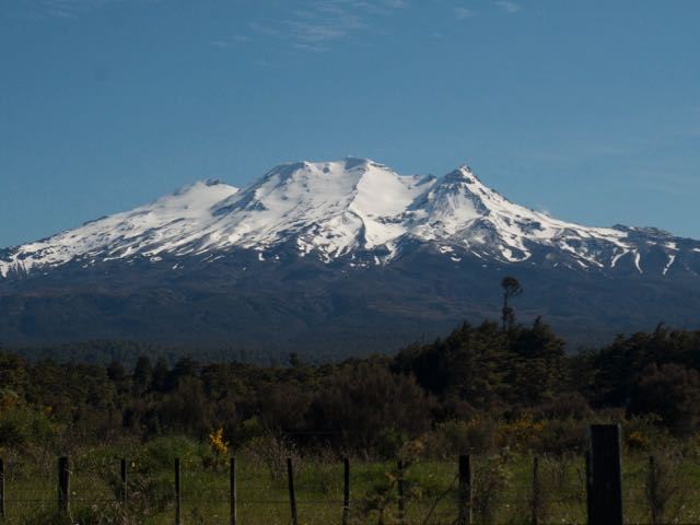 NZ Alpine to review training following fatality