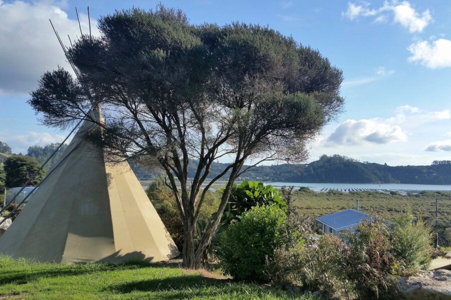 NZ Tourism Awards: A unique offer blends history, culture, education and environment