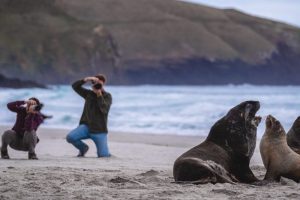 New entrant: Wildlife tour operator eyes summer launch