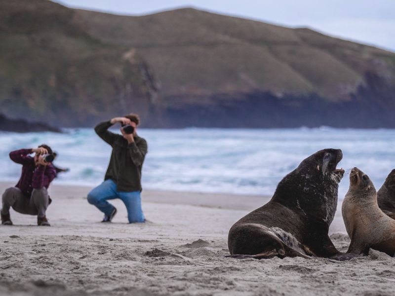 New entrant: Wildlife tour operator eyes summer launch