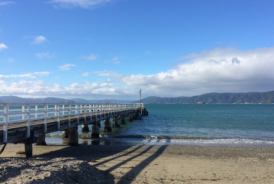 Seatoun ferry wharf to close for a year