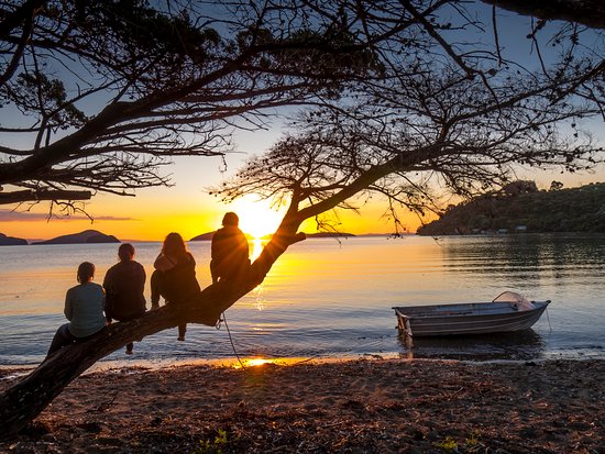Fewer planning holiday spending splurges – survey