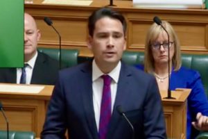 Simon Bridges appointed NZTA chair