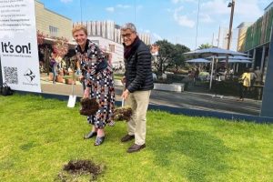 Tauranga waterfront works to begin