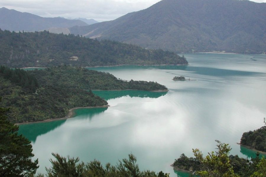 MarlboroughNZ website refreshed as ‘one-stop shop’