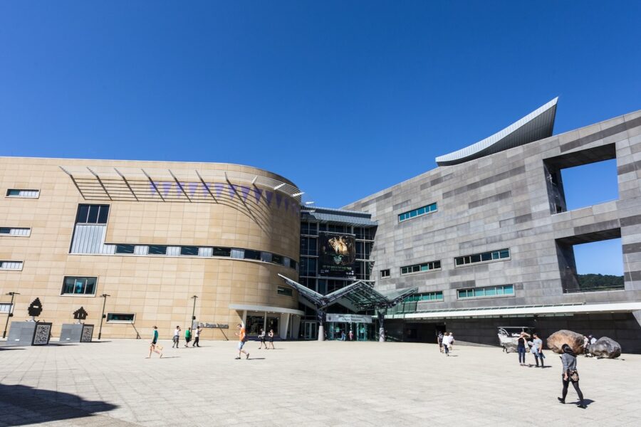 Te Papa, Whanganui Museum mandate vaccination