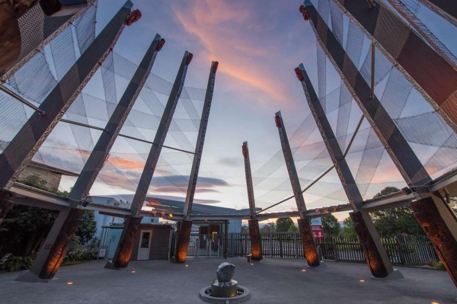 Te Puia pays first dividend to new owners after 65% recovery, refocus on yield