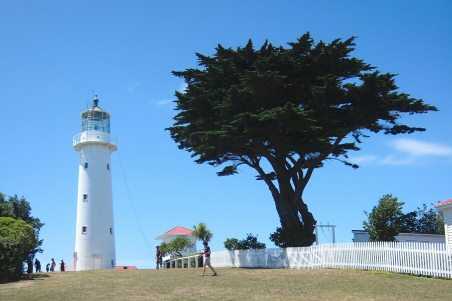 DOC seeks proposals for Tiritiri Matangi Island ferry service