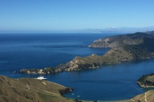 Max vessel length set for Tory Channel